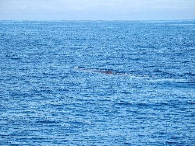 Urlaub in Norwegen 2006